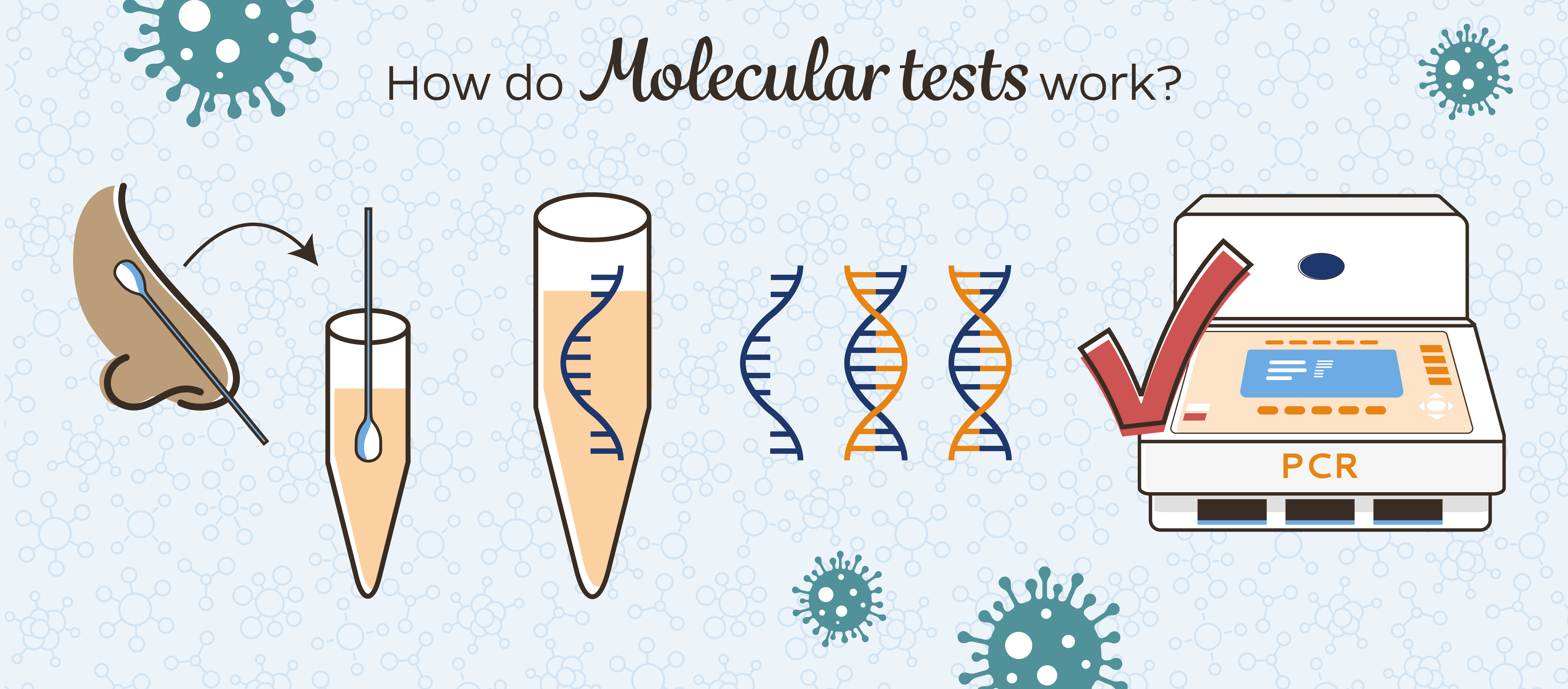How do Molecular tests work?