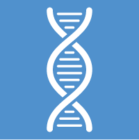 Gene Synthesis Screening Gene Synthesis Screening