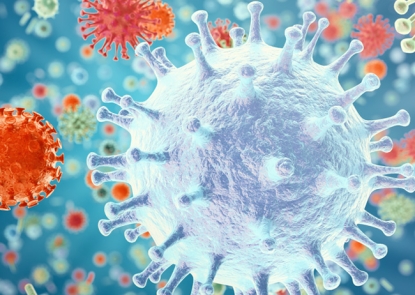 Seasonal Influenza Disease Burden Estimator Seasonal Influenza Disease Burden Estimator