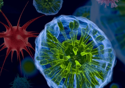 Disease X Medical Countermeasure Program Disease X Medical Countermeasure Program